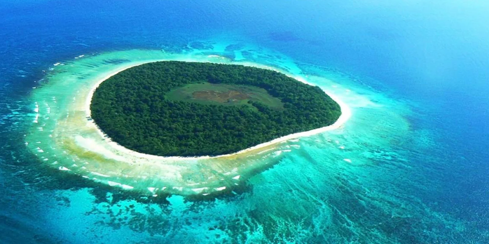 Andaman Island Delight