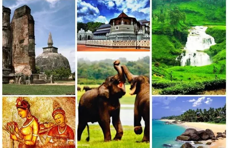 Tropical Sri Lanka 7 Days 6 Nights