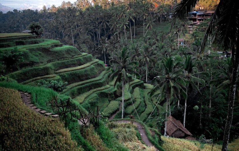 Best Bali Tour Package 03/04