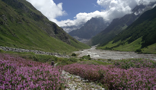 Valley of Flowers National Park Uttarakhand