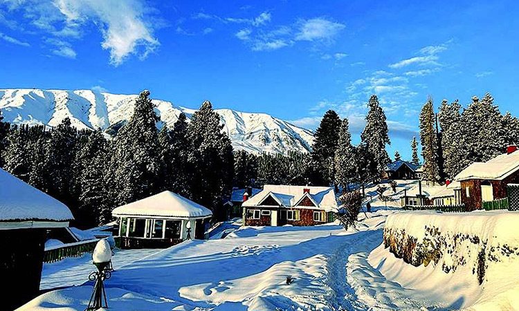 Magic of Kashmir EXCLUSIVE Family Special DEAL 7 Days 6 Nights