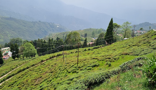 Darjeeling Trip with Mirik Tour 04 Days 03 Nights