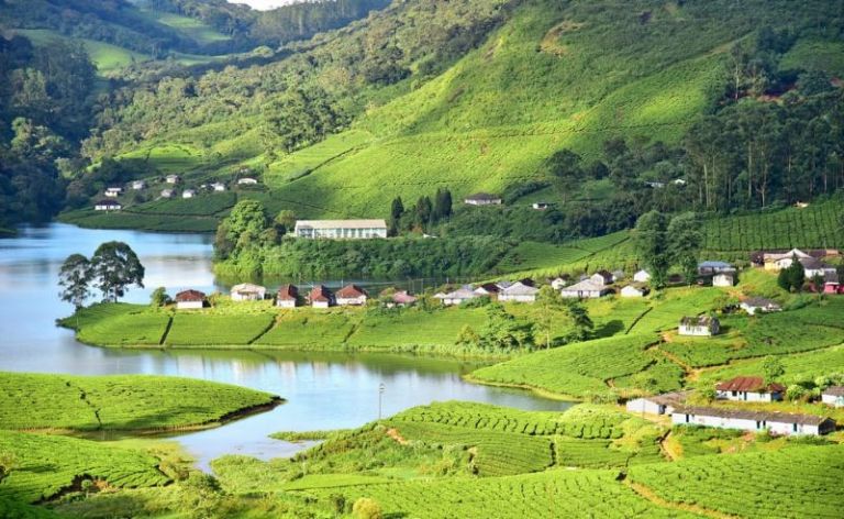 Munnar Alleppey Tour Package 4 Days 3 Nights