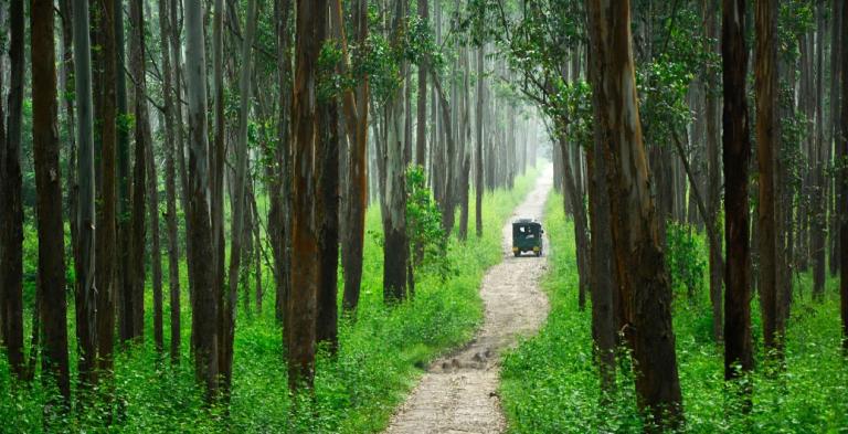 Enthralling Tour to Wayanad 4 Days 3 Nights