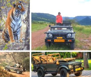 CENTRAL INDIA WILDLIFE EXPEDITION 04 NIGHT 05 DAYS