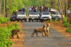 Heritage, Culture & Wildlife Discovery 05 Nights 06 Days